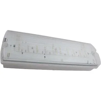 "VT-524-S emergency lighting - LED - surface-mounted - 4W - IP65 image"