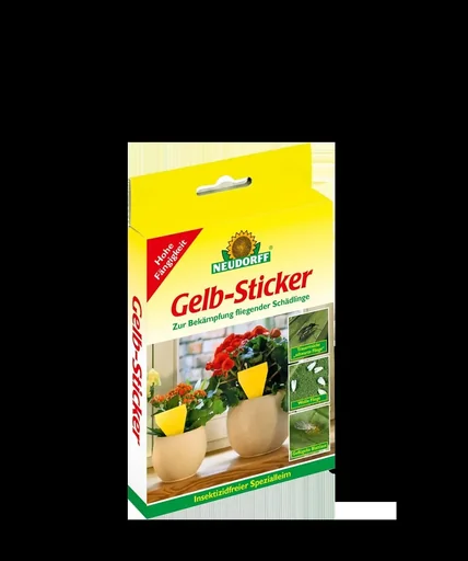 "Yellow sticker image"