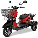 E-Carrier 25 V.3 - with luggage rack