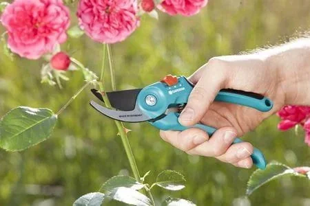 "Gartenschere B/S-M image"