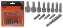 Bit and socket wrench set 13-piece