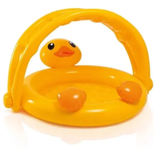 "Baby pool duck image"