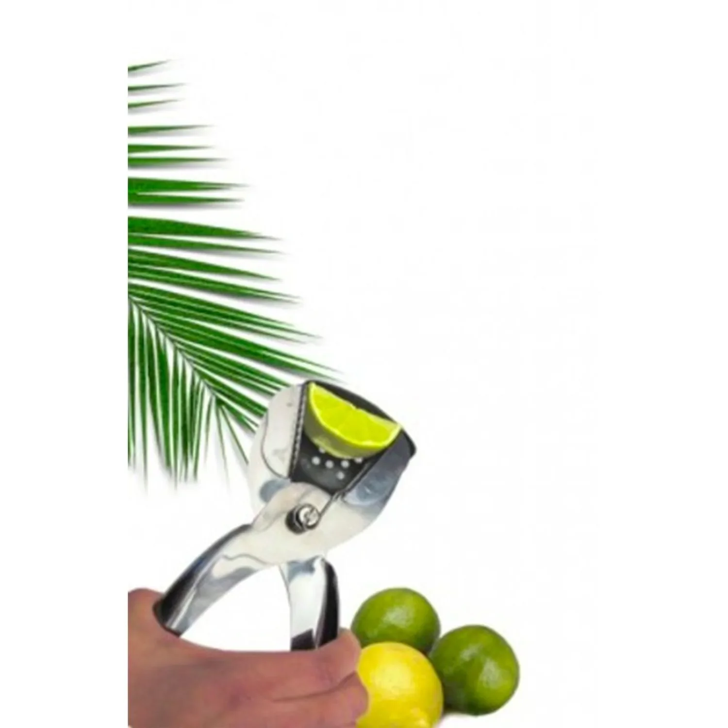 "Citroentang, citruspers, limoentang image"