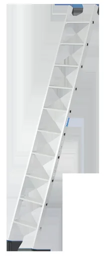 "Lean-to ladder +S with 10 steps image"