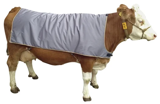 "Thermal blanket for Brown Swiss and normal Black Pied, back length 145 cm, length 180 cm, width 150 cm image"