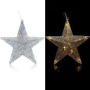 Poinsettia Silver -LED - Glitter
