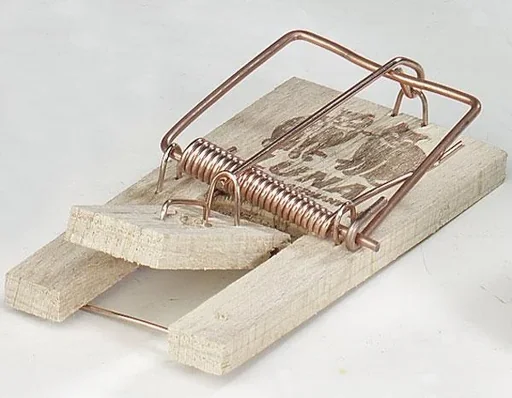 "Wooden mousetrap for catching mice, 1 piece image"