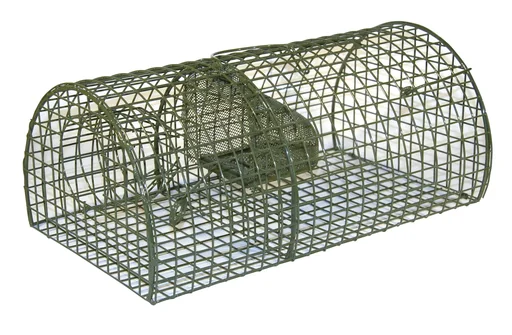 "MultiRat mass rat catcher, 40 cm image"
