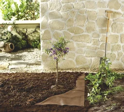 Bio Mulch Vlies, 3 x 10 m - in Profiqualität