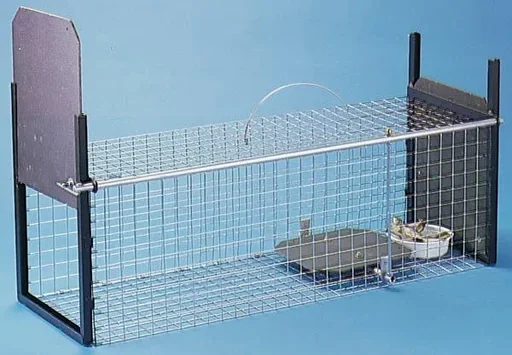 "Wire box cat trap developed and recommended by animal rights activists image"