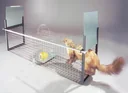 Predator live trap for foxes and raccoons, 30 x 26 x 105 cm, 5 kg