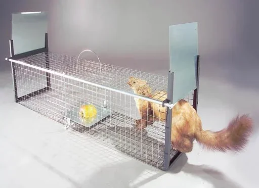"Predatory game live trap for badgers and stray dogs, 33x40x105cm, 7.5kg image"