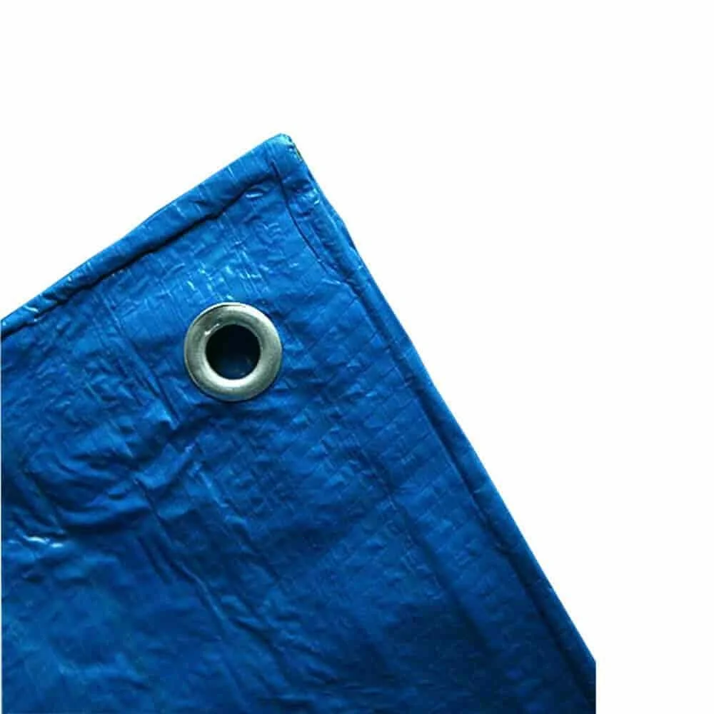 "Blauwe Geweven Afdekzeil 5x6m (30m²) - Waterdicht en UV-bestendig Zeil image"