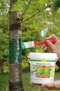 Rupsenlijm 1 kg - de ideale bescherming voor uw bomen