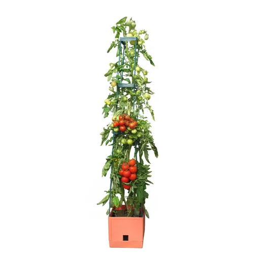 "Planttoren "Maxitom" met latwerk en irrigatie image"