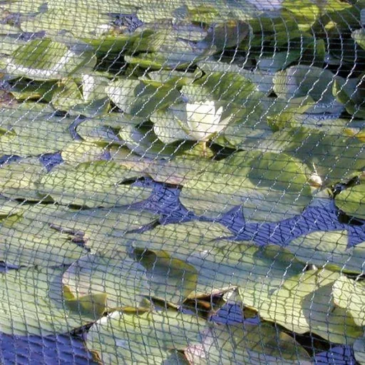 "Leaf protection net - 5 x 6 m image"