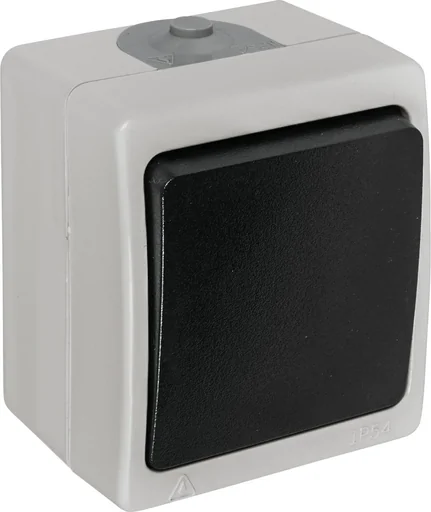 "Surface-mounted damp room control switch with lens and inserted glow lamp image"