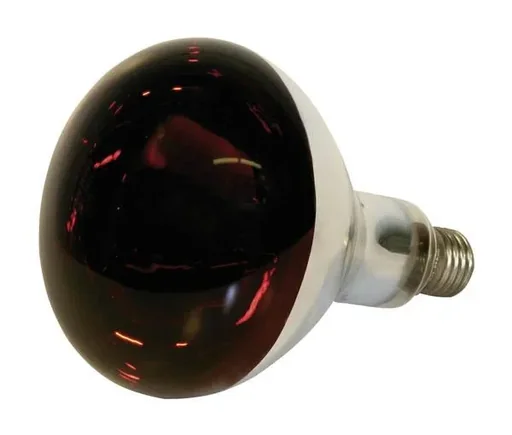 "Infrared tempered glass lamp, 150 watts, red image"