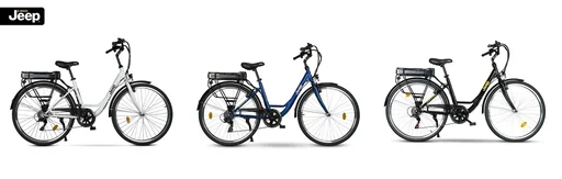 "Unisex City E-Bike, 28 inches, frame size 44 cm, 6-speed derailleur, black, ECR 3000 image"