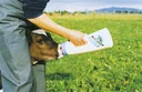 Calf bottle Speedy Feeder, 2.5 l