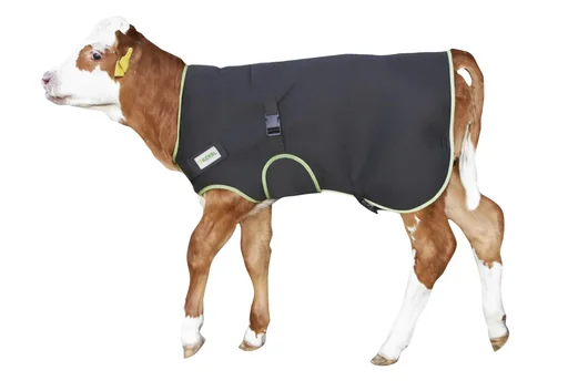 "Premium black calf blanket, 70 cm image"
