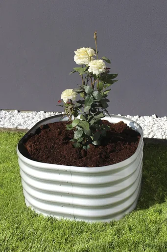 "Raised bed Terra Round 401, color blank image"