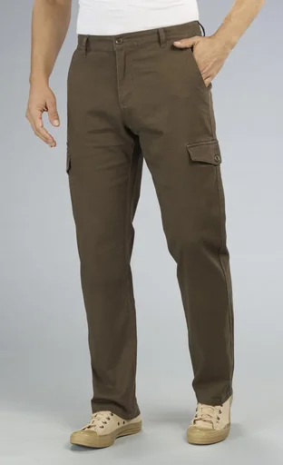 "Cargo pants, color brown, size 48 image"