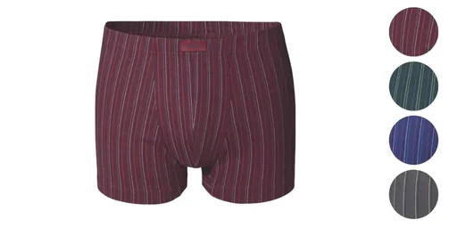 "Retro shorts in a pack of 4, assorted colors, size 5 image"