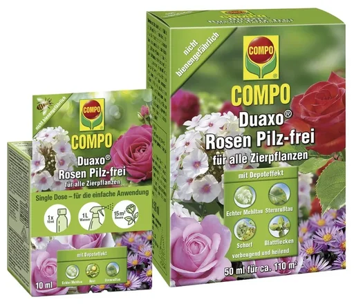 "Duaxo® Rose Fungus-free for all ornamental plants 50 ml image"