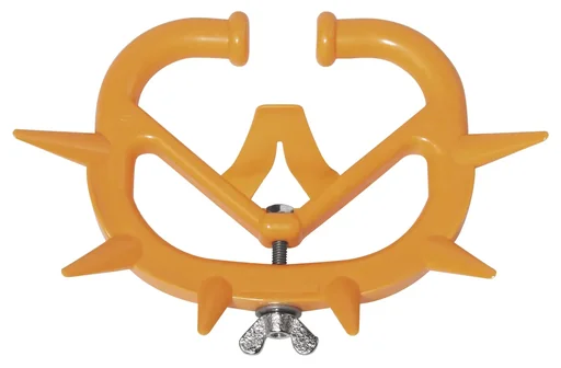 "Cattle weaner Müller 2010, medium image"