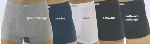 "Retro shorts, anthracite / melange, size 5 image"