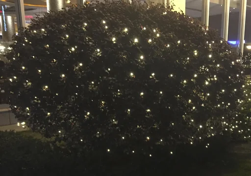 "LED light net with 120 warm white LEDs, 2x2 m image"