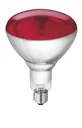 Tempered glass lamp in red, 250 W for heat lamps