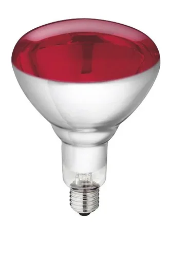 "Tempered glass lamp in red, 250 W for heat lamps image"