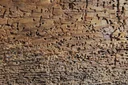 Woodworm death, 750 ml
