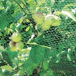Vogelbeschermingsnet - 2 x 10 m