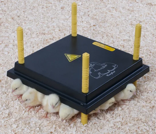 "Comfort heating plate 25x25cm for chicks, 15W/ 220-240V image"