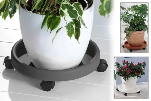 "Plant trolley, anthracite image"