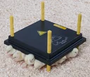 Comfort heating plate 40x50cm for chicks, 46W/ 220-240V
