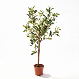 Olijfboom in pot 65 cm – Kunstplant - Kunstplant