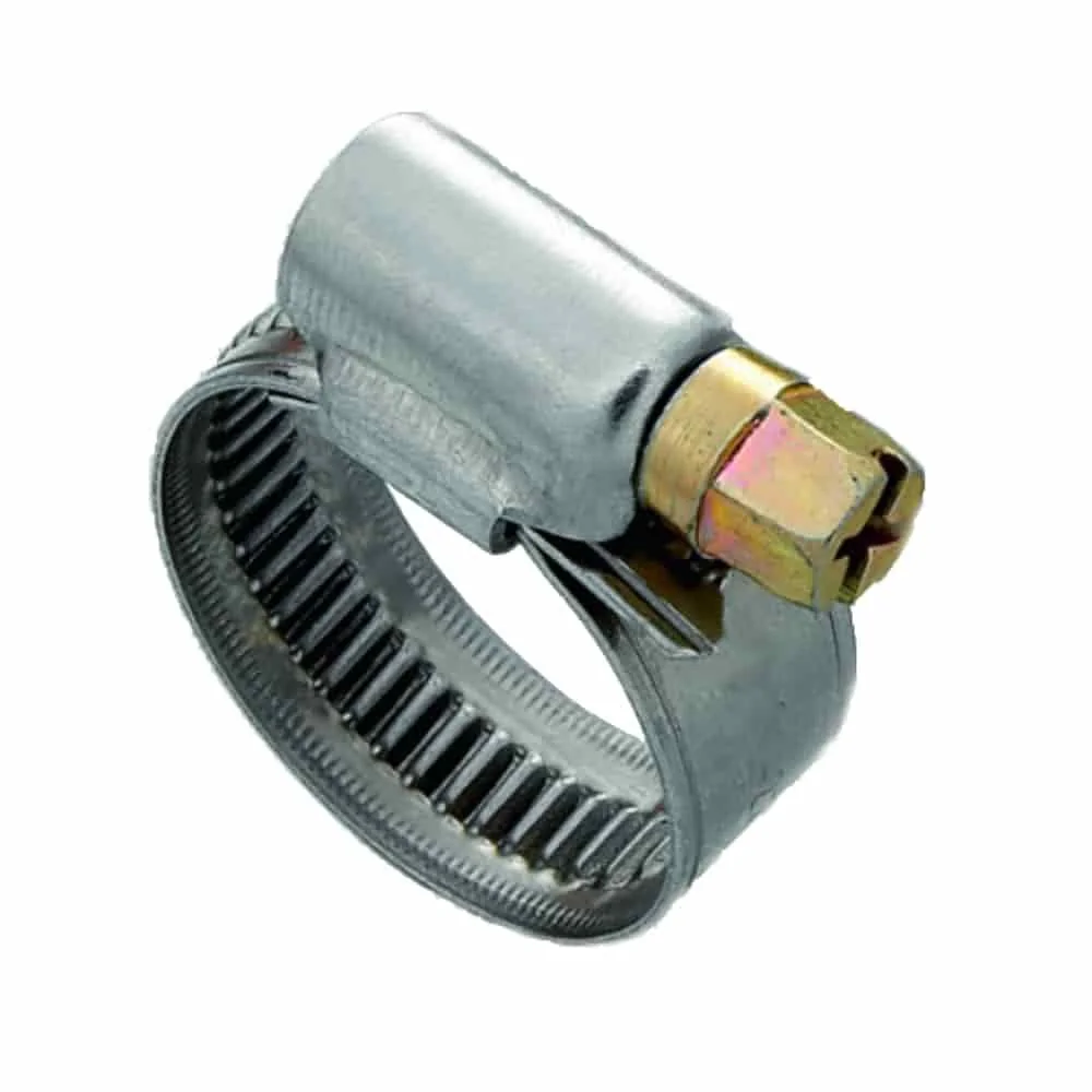 "RVS Slangklemmen 25-40mm - W2 Kwaliteit image"