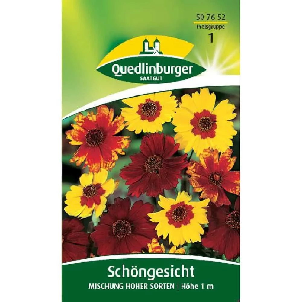 "Mooi gezicht, mengsel van hoge soorten image"