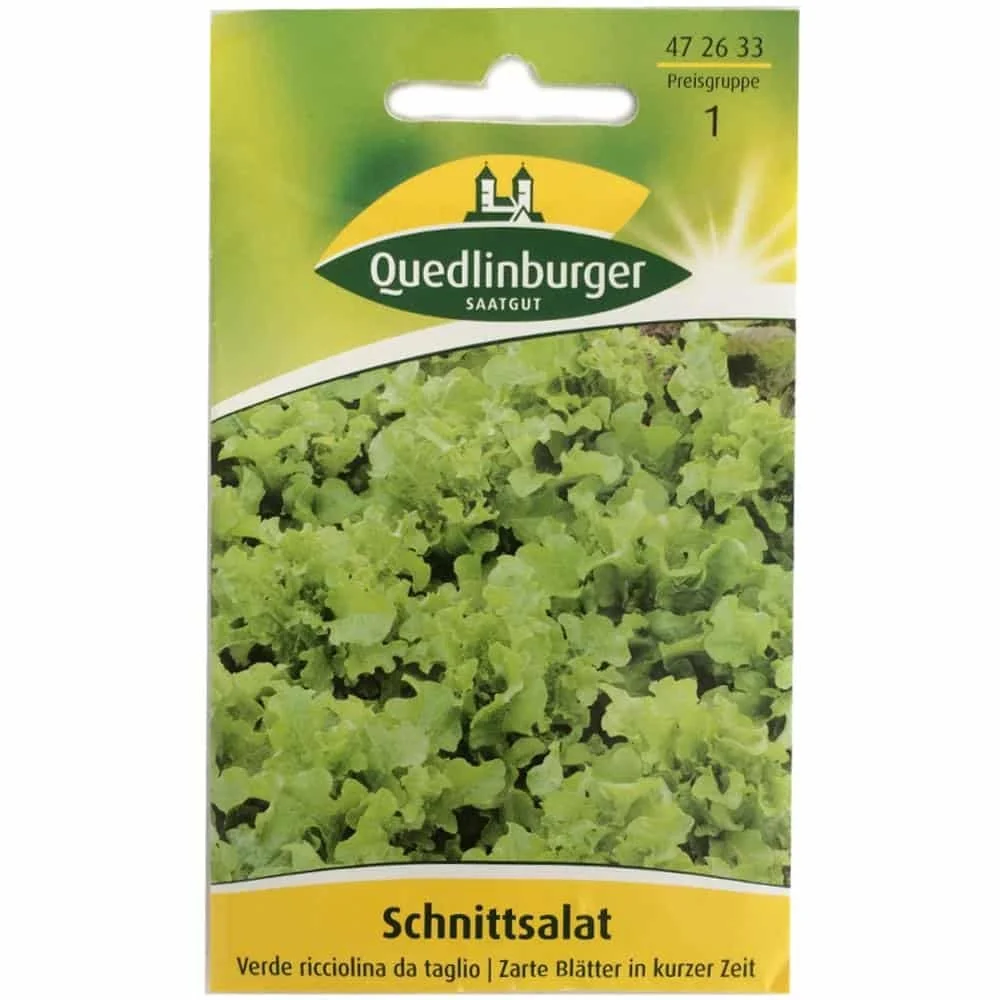 "Snijsla, Verde ricciolina image"
