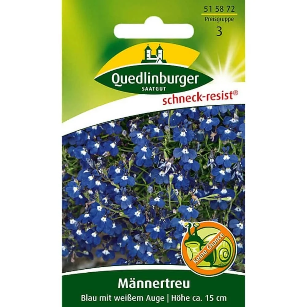 "Männertreu: Blauwe Bloemenpracht voor Tuin & Balkon image"
