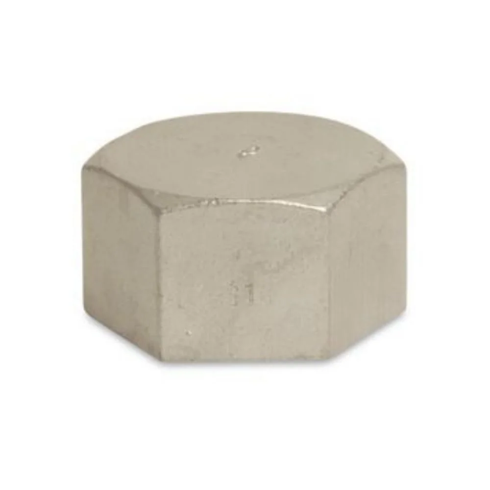"RVS Eindkap 2 inch met Binnendraad - Buiskoppeling image"