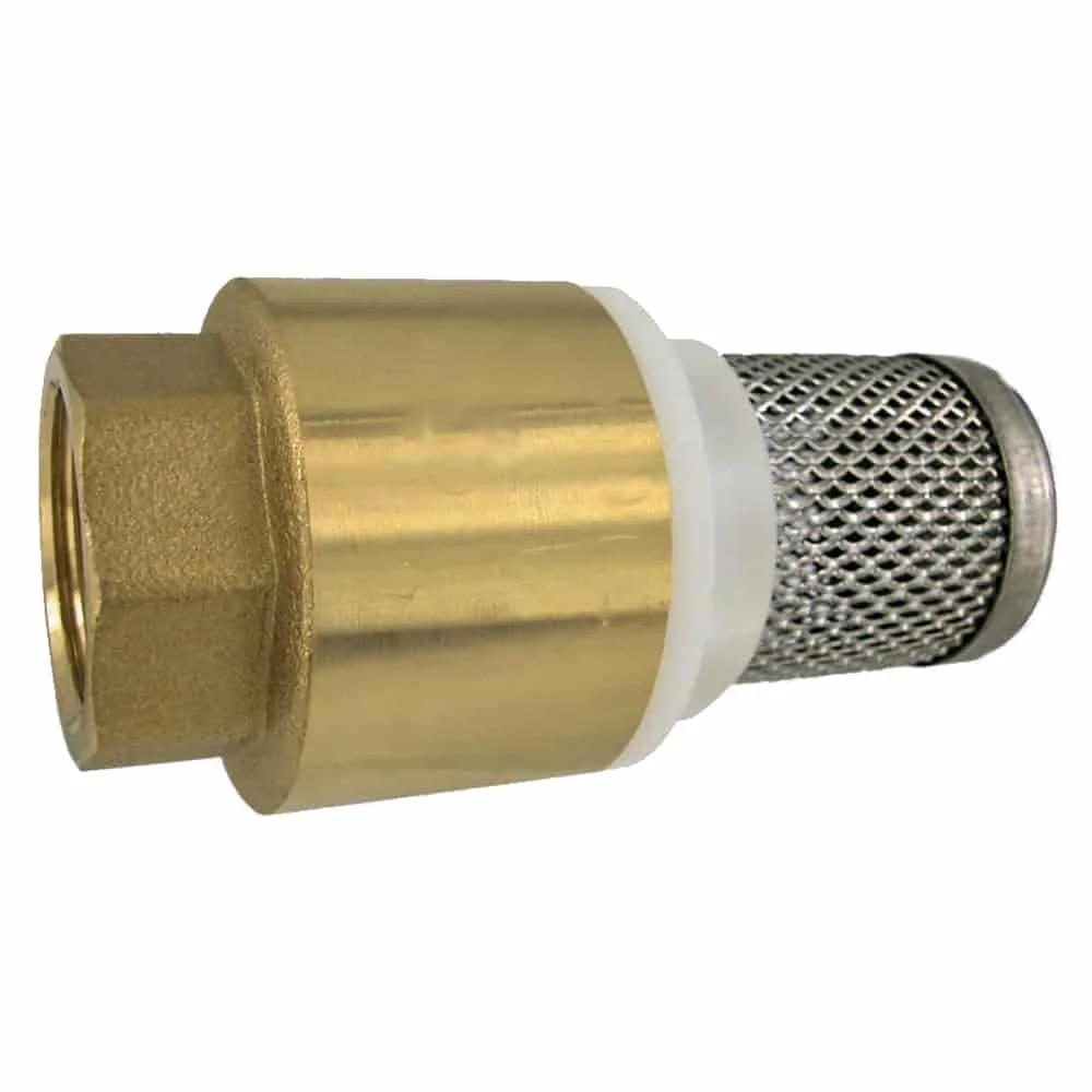 "Messing Voetklep met Terugslagklep en Zuigkorf - 2 inch image"
