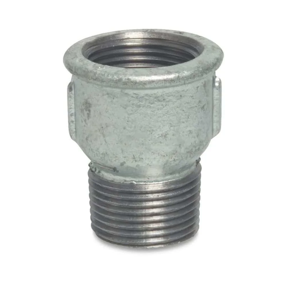 "Muffelnippel 2 inch Tempergietijzer Fitting - Boni-Shop image"
