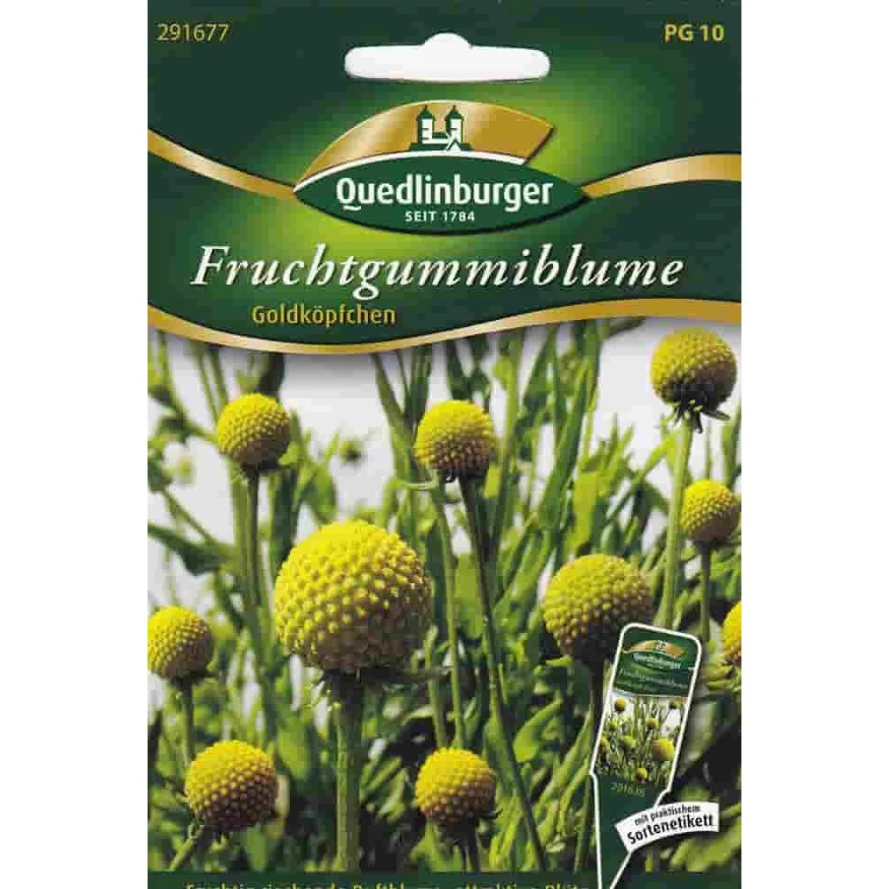 "Fruchtgummiblume: Geurende Eenjarige Zomerbloem voor je Tuin image"