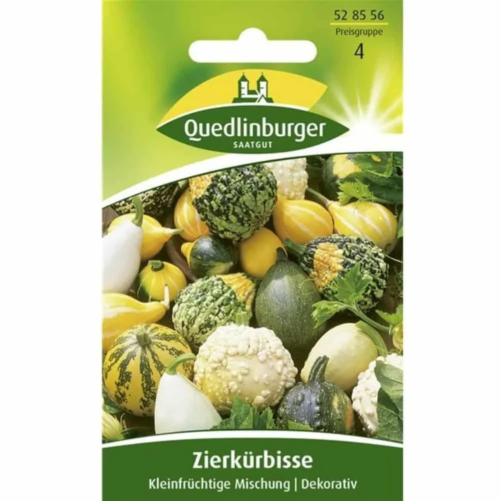 "Sierpompoenen Mix - Kleine Sierkalebas voor Herfstdecoratie image"