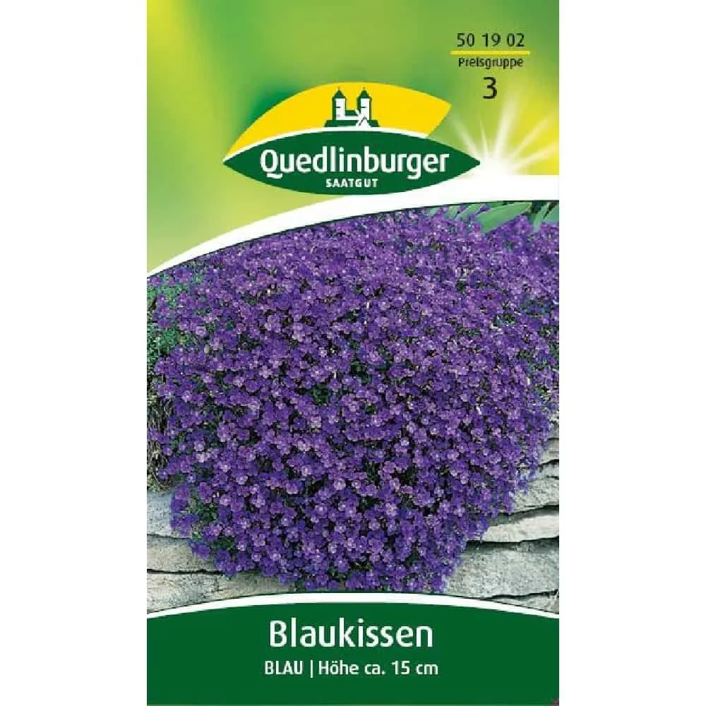 "Blauwe Aubrieta Kopen: Winterhard & Bienenfreundlich image"